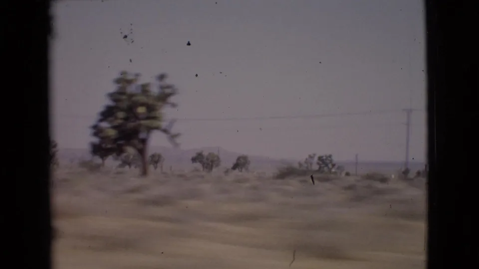 1968 San Diego County car-window frame showing a leaning roadside tree, sparse scrub, utility poles, and low distant hills.