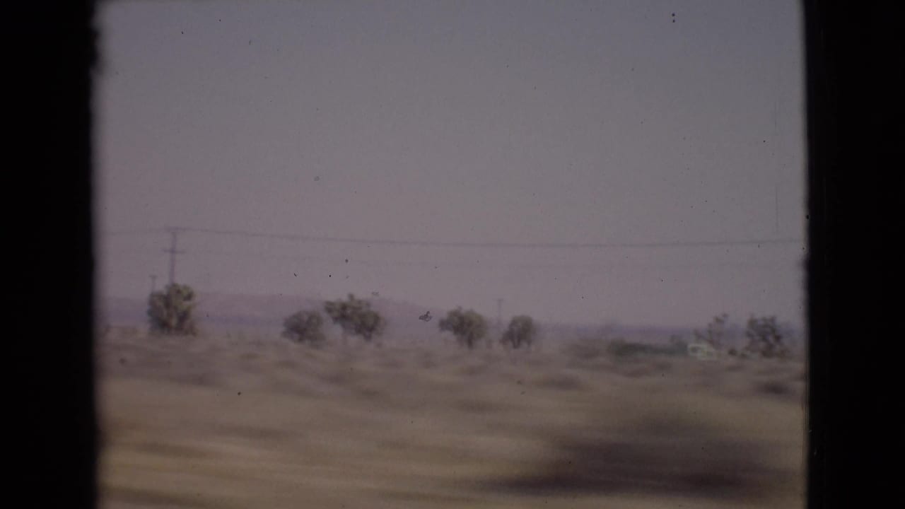 1968 San Diego County road-trip footage showing a hazy desert roadside with scattered trees, utility wires, and low mountains beyond.