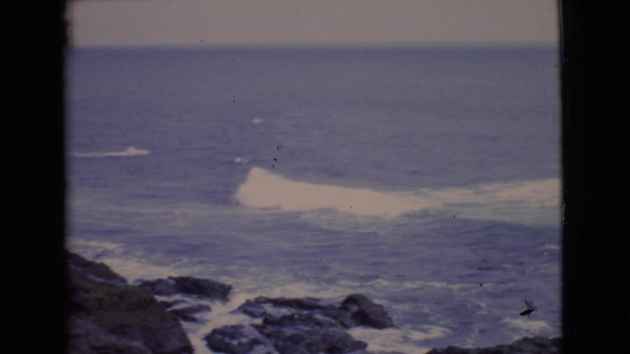 Rocky shoreline and white surf seen through dark vertical window trim.