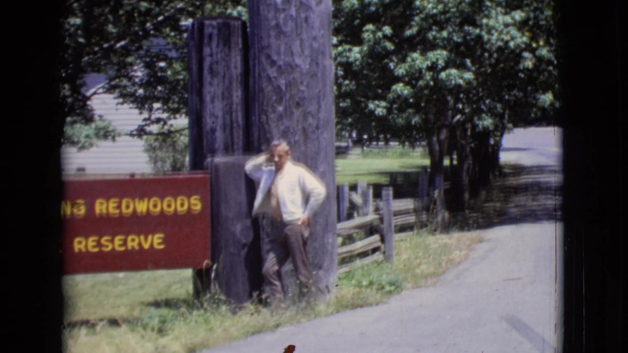 Grey-haired man standing beside a red Redwoods Reserve sign and tall wooden posts near a wooded road.