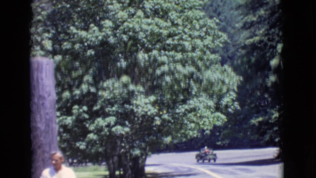 Trees and a winding road with a small vehicle in the distance and part of a man at the lower left.