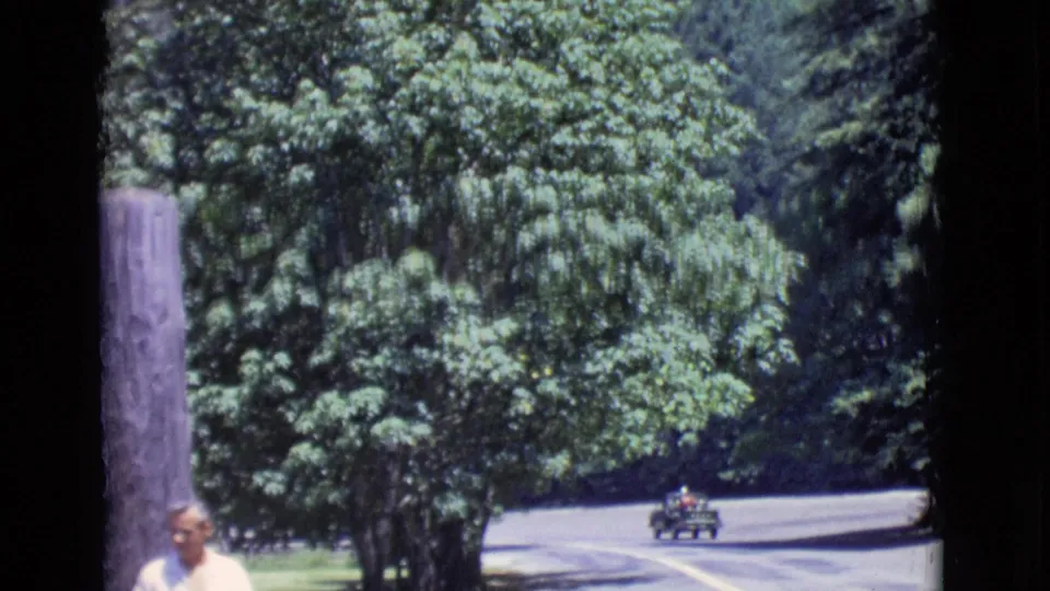 1968 San Diego County 8mm frame showing roadside trees, a winding road, a distant vehicle, and the edge of a man entering the view.