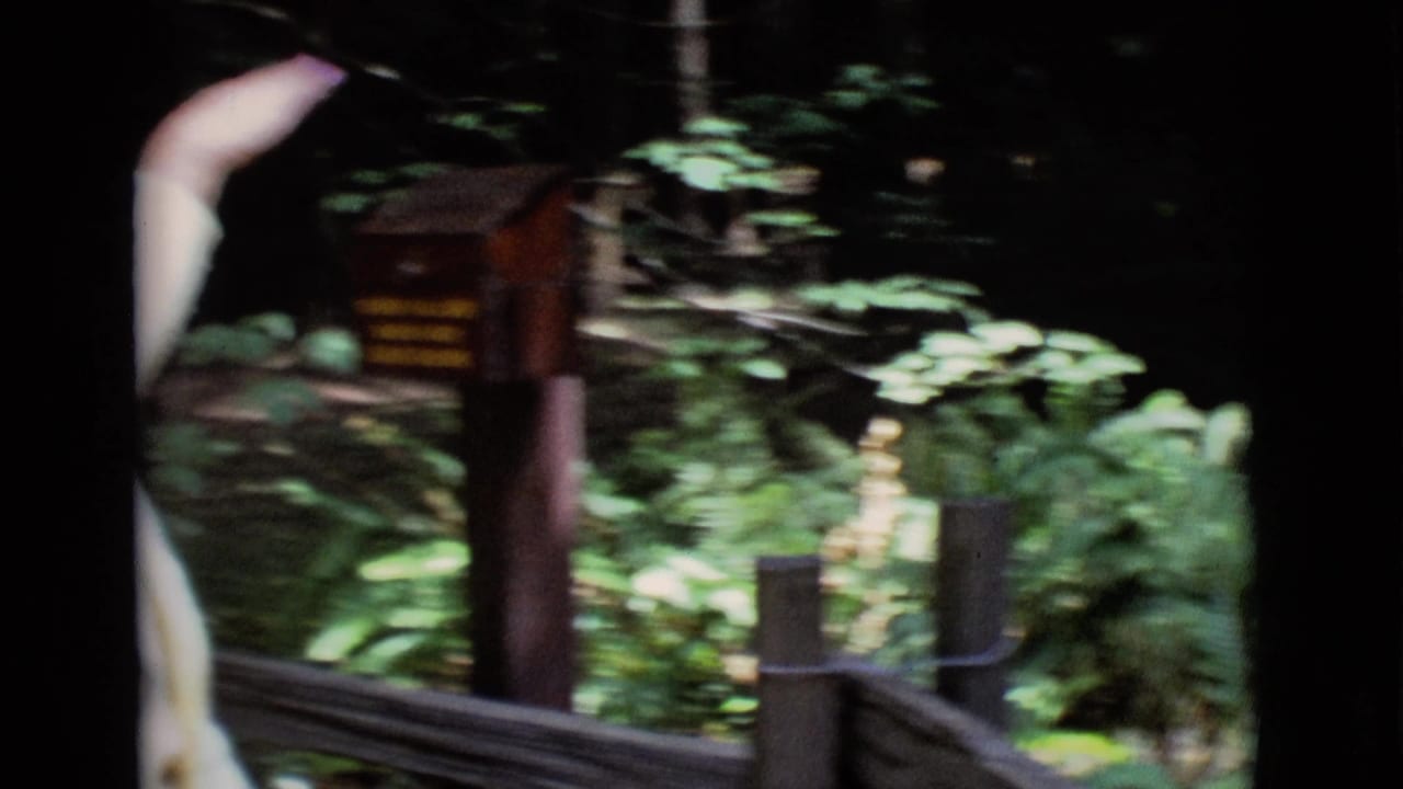 Woman in a light sweater gestures near a forest sign and railing.