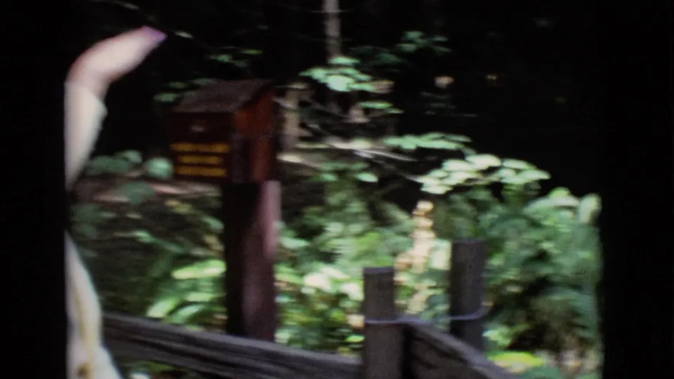 In 1968 San Diego County home-movie footage, a woman stands at the edge of a forest trail near a wooden sign and railing.