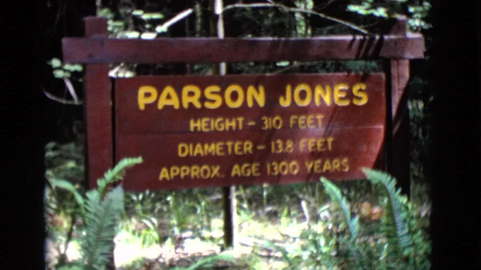 The Parson Jones sign lists height, diameter, and approximate age details in yellow letters on a red-brown wooden board.