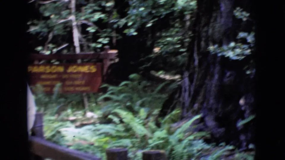 The handheld camera shifts past the Parson Jones sign toward dense green forest, ferns, and a large tree trunk.