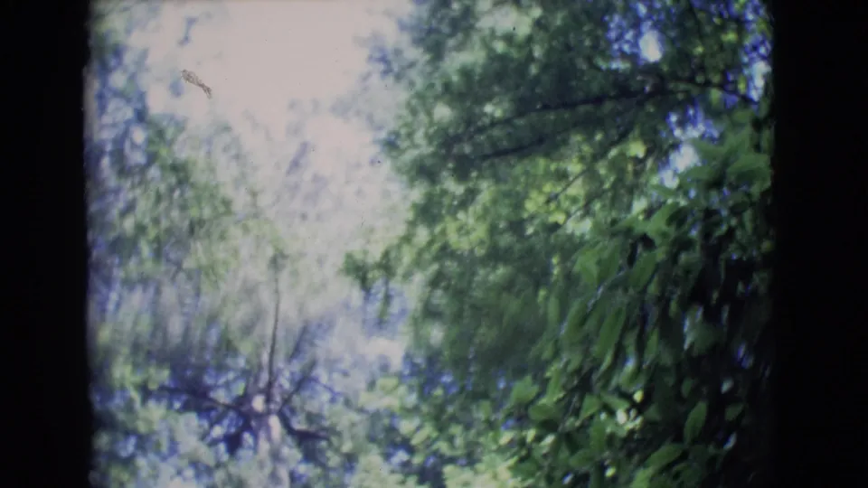 The final frame shows green treetops and overexposed sky in a vintage 8mm home-movie forest view.