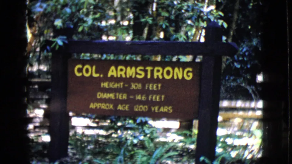Final frame holds on the brown Col. Armstrong sign and its yellow tree measurements, with dark posts and leafy forest texture behind it.