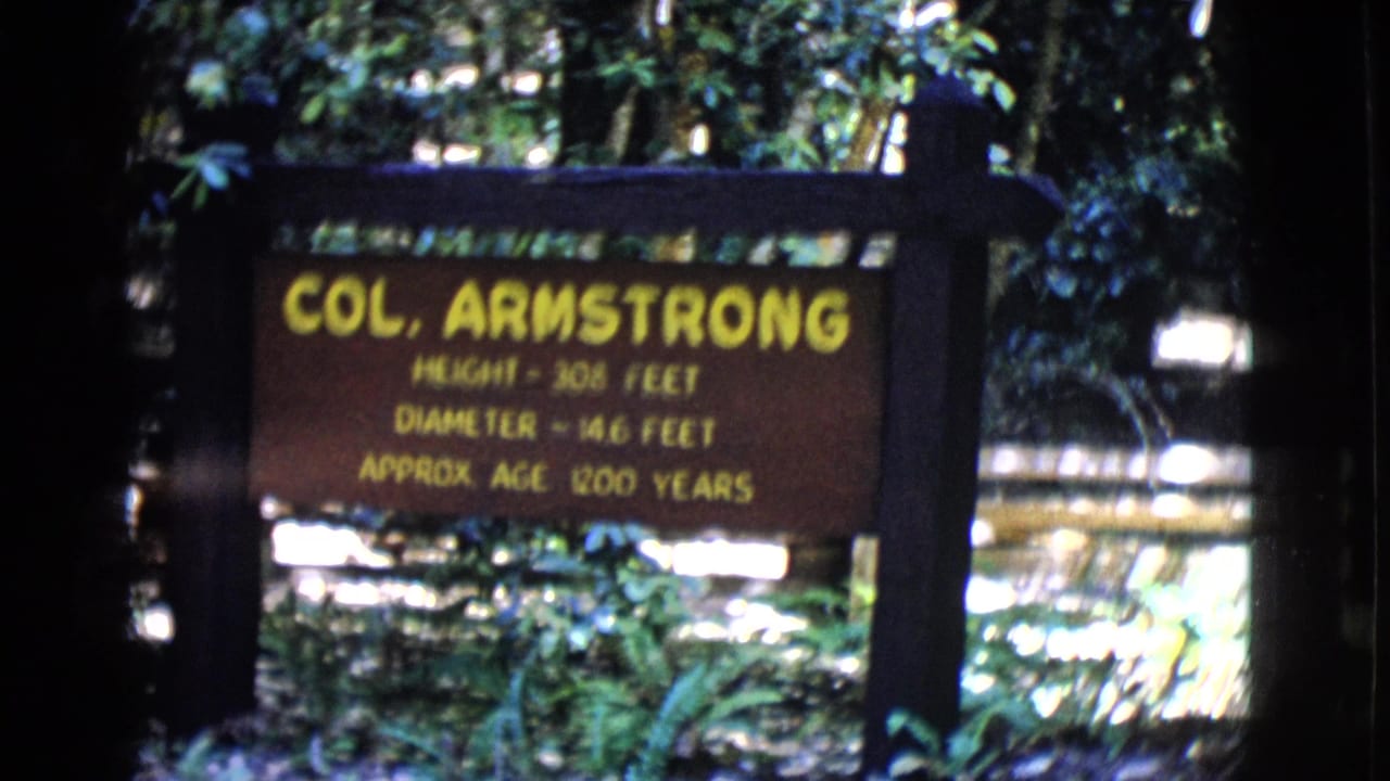 Wooden Col. Armstrong sign in a shaded forest with foliage behind it.