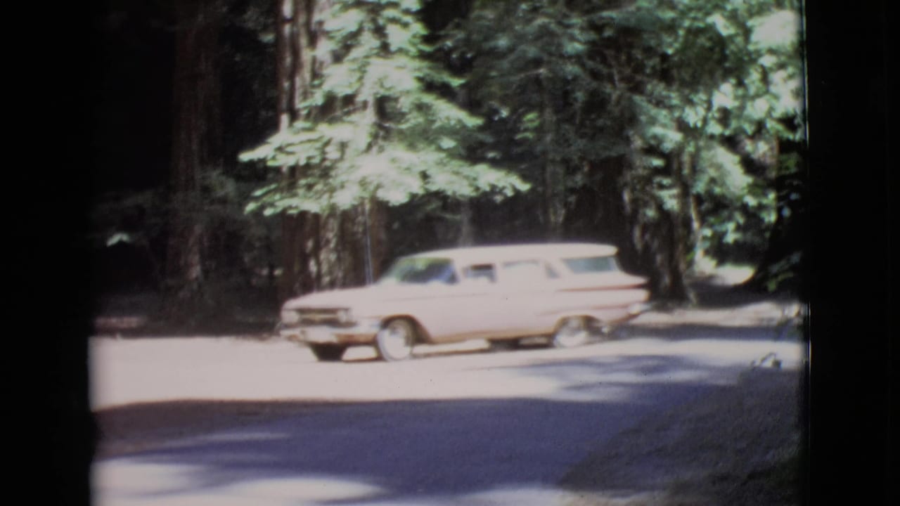 1968 San Diego County 8mm frame showing a light pink station wagon entering a sun-dappled forest road.