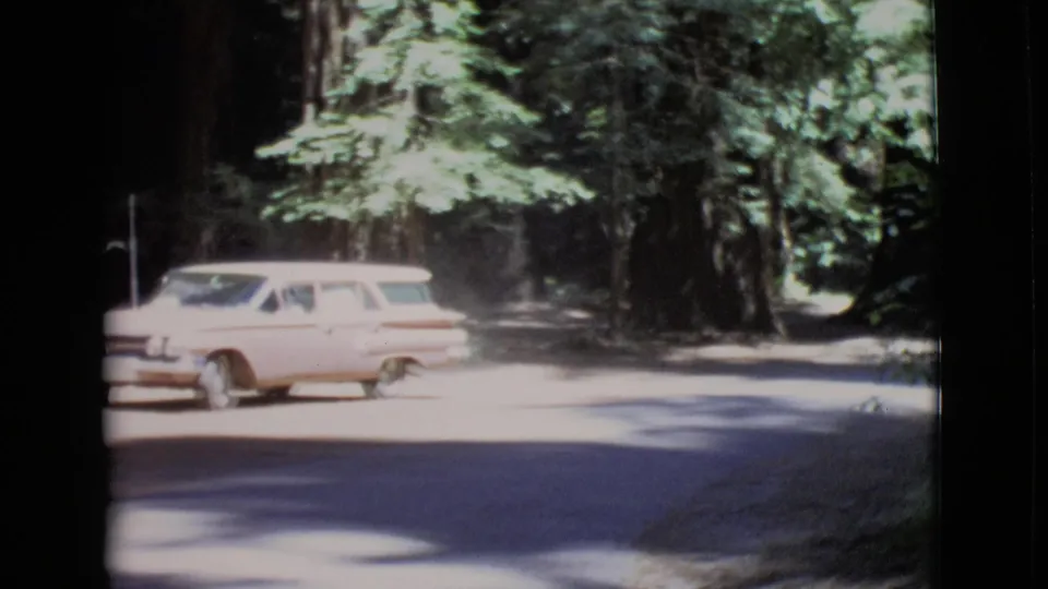 A light pink station wagon continues along the wooded road, with tall trees and bright overexposed pavement visible.