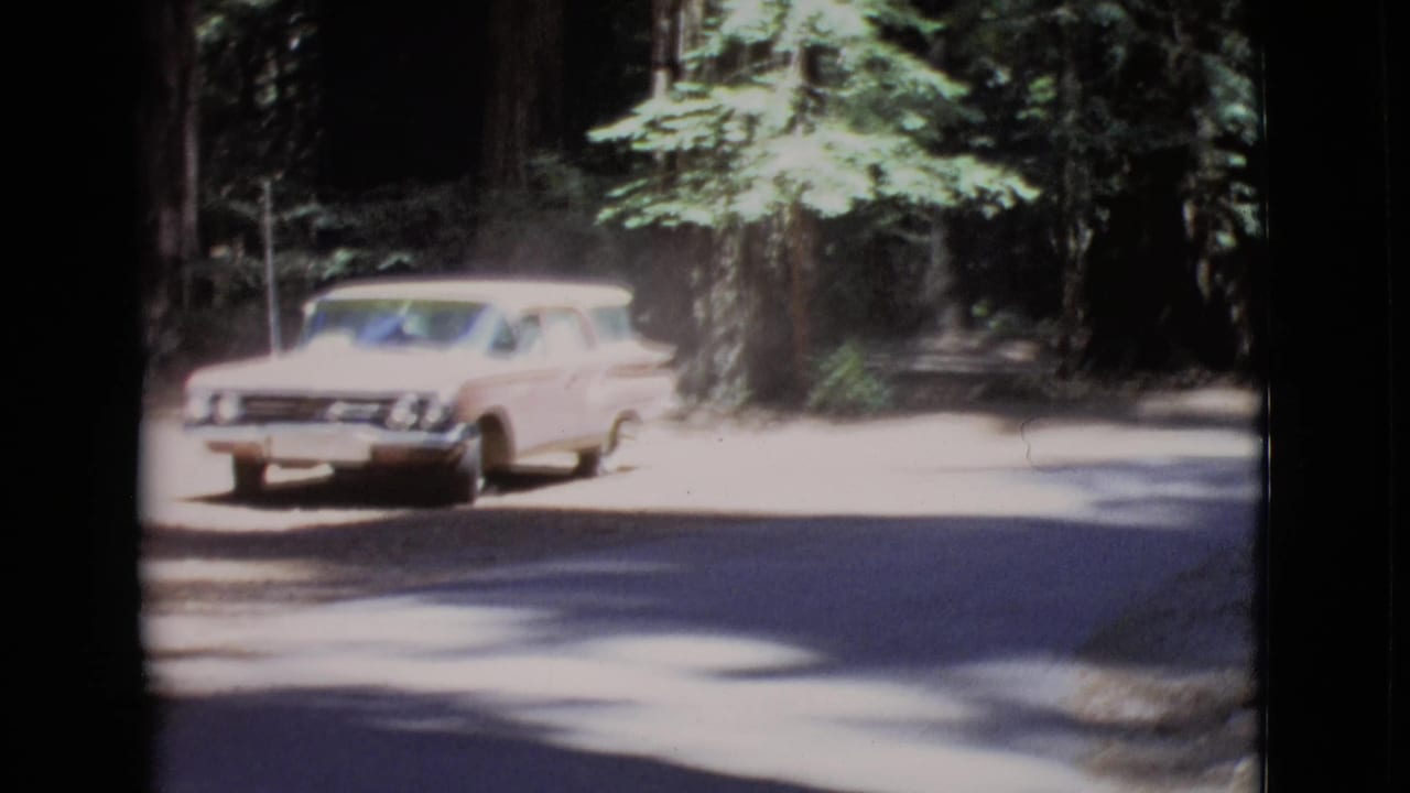 1968 8mm frame of a cream station wagon on a sunlit road between tall trees in San Diego County, California.