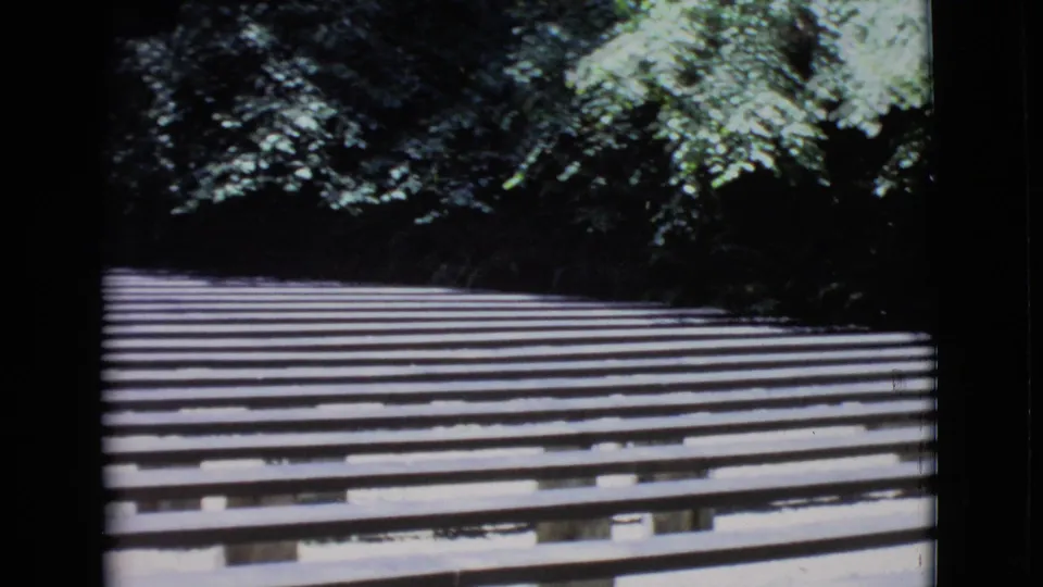 1968 San Diego County frame of parallel wooden walkway slats receding toward dark foliage.
