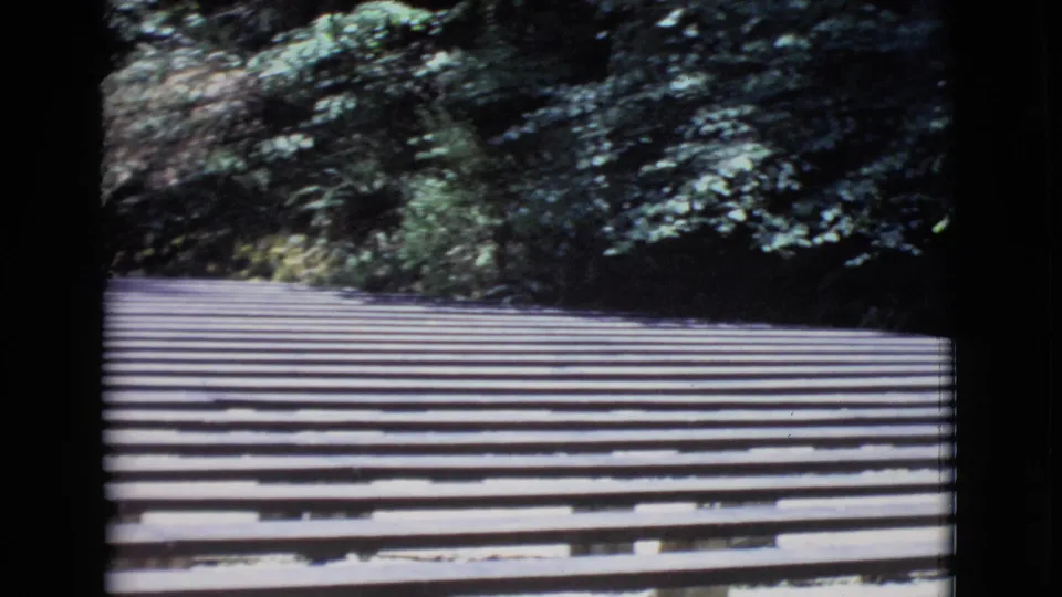 Vintage 8mm frame from San Diego County showing a low, forward view over wooden slats toward dense foliage.