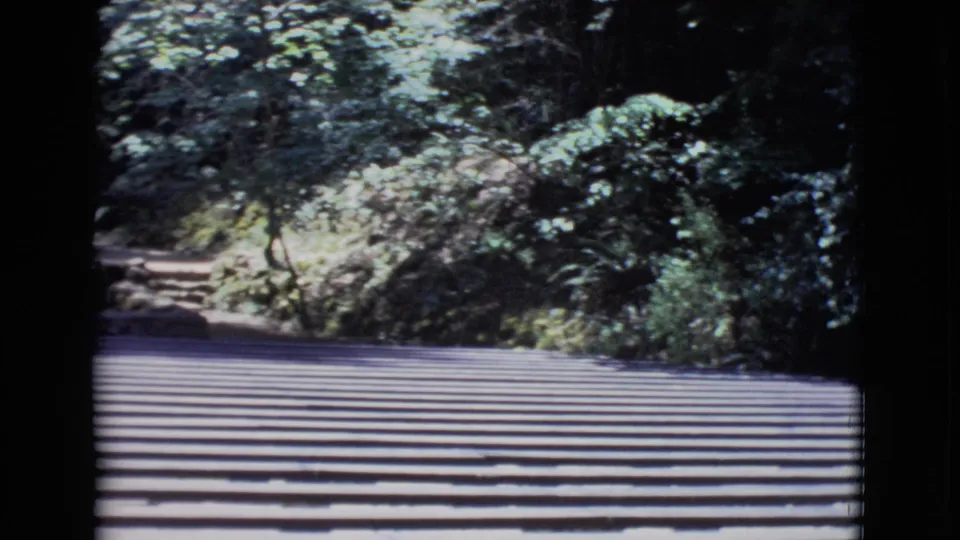 1968 San Diego County home-movie frame showing a slatted wooden path beside dense shrubs and trees.