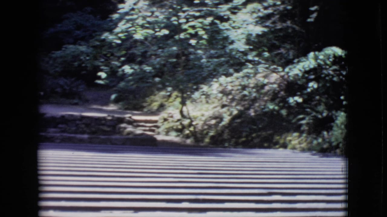 Rows of empty wooden benches facing a shaded stone wall and trees.