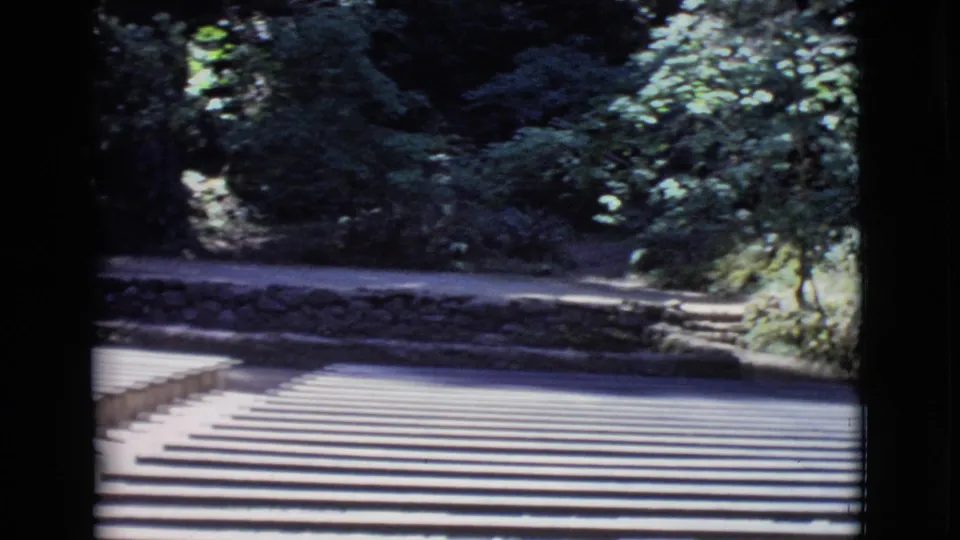 1968 San Diego County home-movie frame with parallel outdoor bench rows, a low wall, and leafy shade behind the seating.