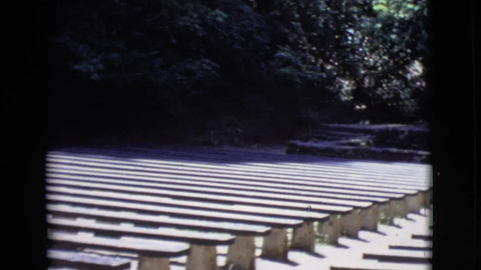 1968 San Diego County frame showing empty outdoor bench rows in strong sunlight, with dark tree shade and low supports below.