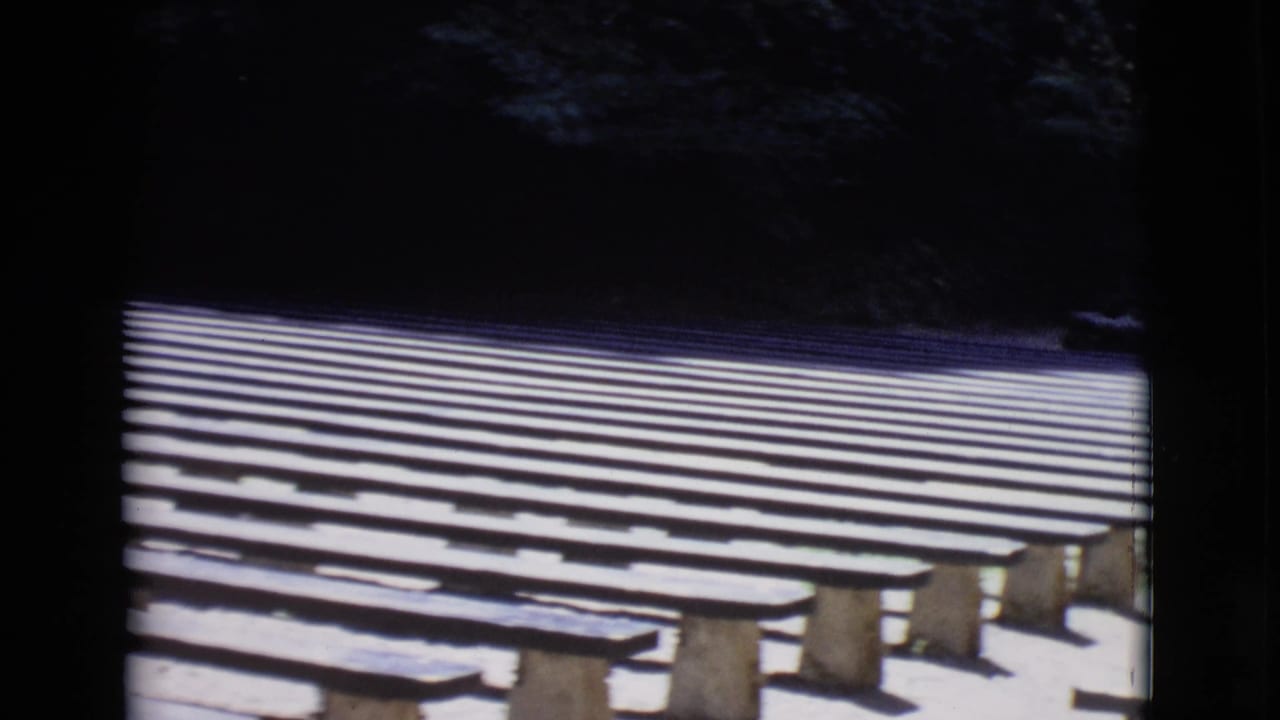 Rows of empty wooden benches in bright sun with dark trees behind them.
