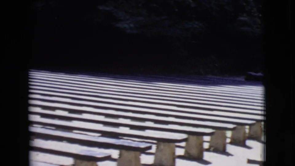 1968 San Diego County 8mm frame showing empty tiered wooden benches in sunlight with shaded trees at the rear.