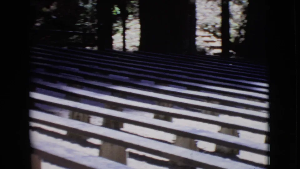 1968 San Diego County 8mm still showing a closer angle on empty wooden bench rows under trees.