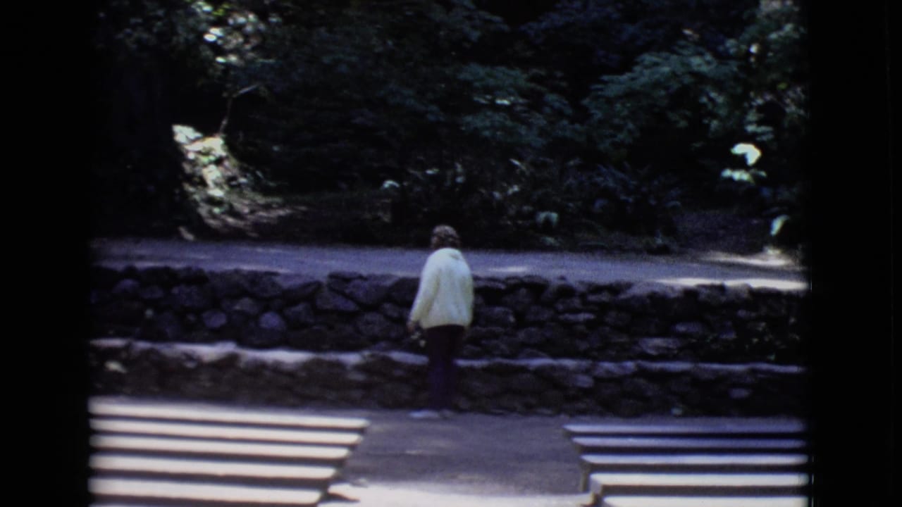 Woman in a pale jacket stands on a stone path facing dense greenery beyond a low rock wall.