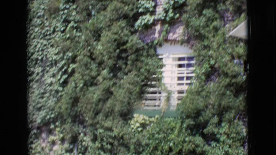 1968 San Diego County 8mm frame showing thick ivy, shrubs, and a partially hidden multi-pane window on a brick building.