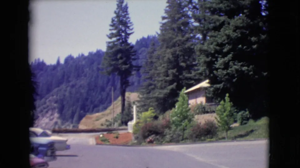1968 San Diego County roadside view from a moving vehicle, with parked cars, tall evergreens, landscaping, and a low building.