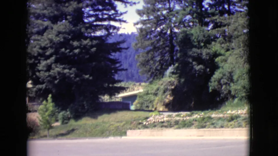 1968 San Diego County roadside frame showing dense trees, a planted embankment, low wall, and pavement from a moving vehicle.