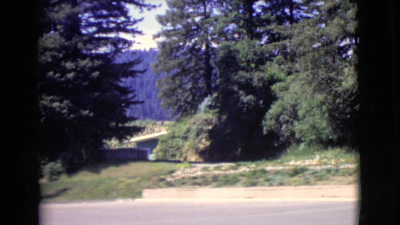 1968 San Diego County 8mm frame showing a sunny road, landscaped slope, and dense trees beyond dark film borders.