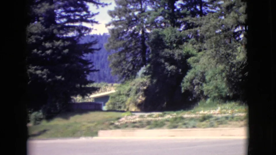 1968 San Diego County 8mm frame showing a sunny road, landscaped slope, and dense trees beyond dark film borders.