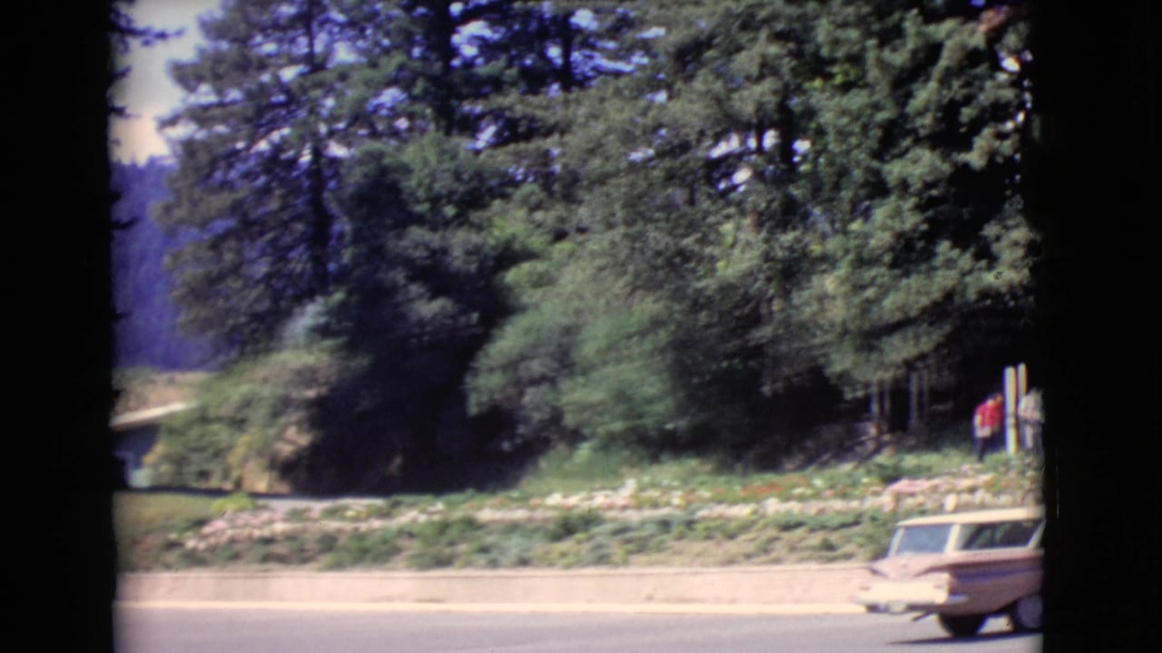 Tan station wagon entering the frame beside trees and a roadside slope.