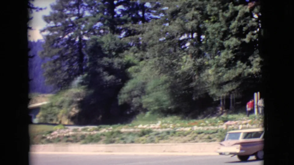 Tan station wagon passes along a San Diego County roadside with trees, planting, and a partly visible pedestrian area.