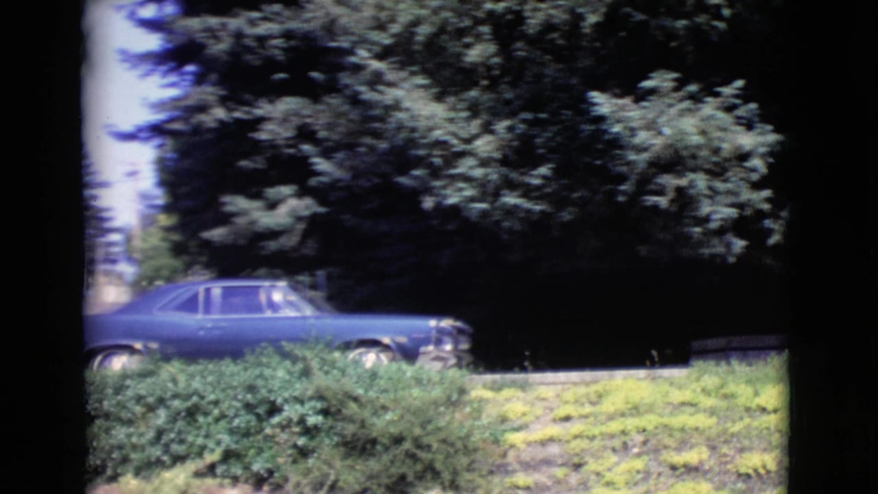 Blue car parked behind shrubs beside a stone-edged garden and trees.