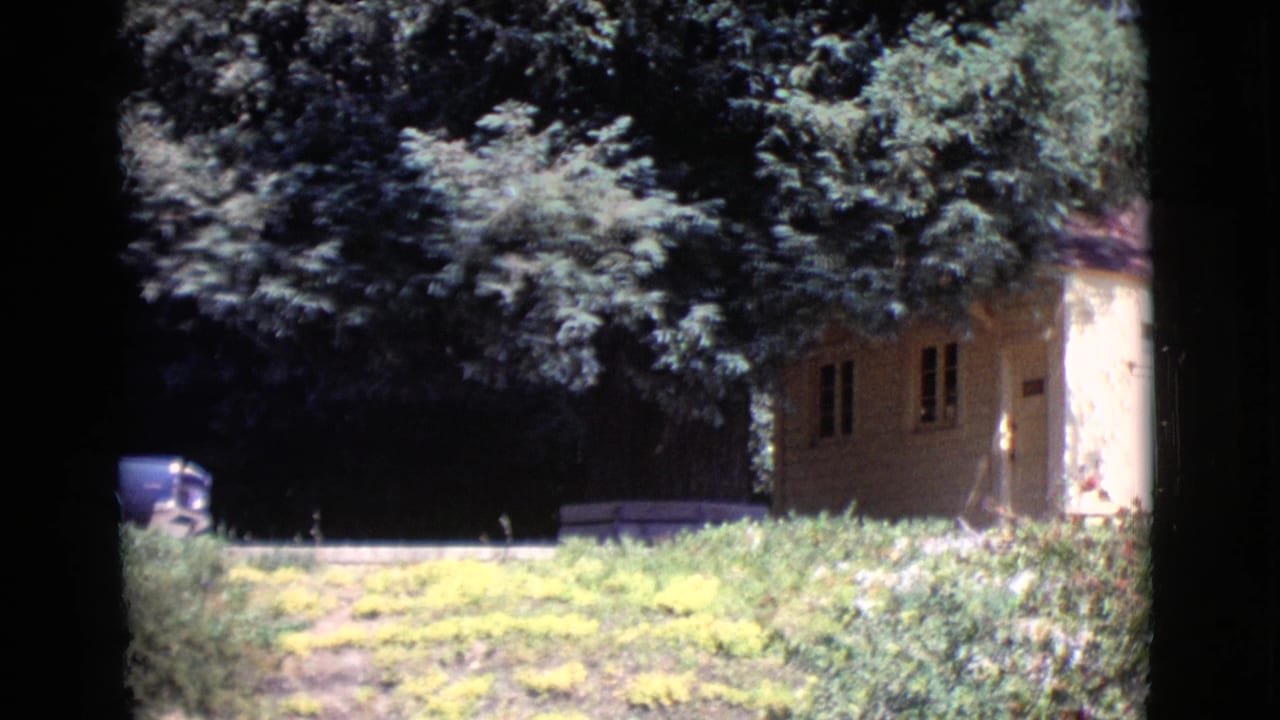 Partial blue car, small house, shrubs, stone border, and trees.