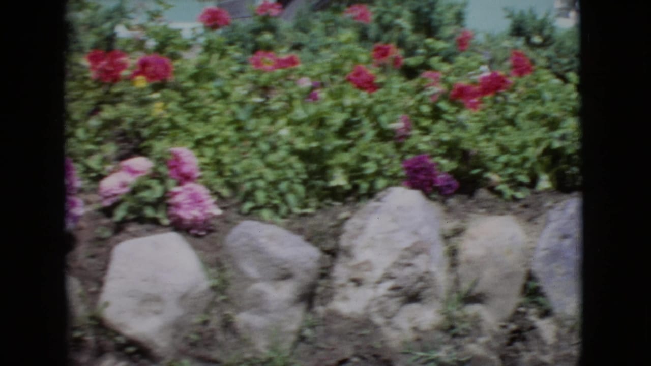 Colorful flower bed with stone border and dense green foliage.