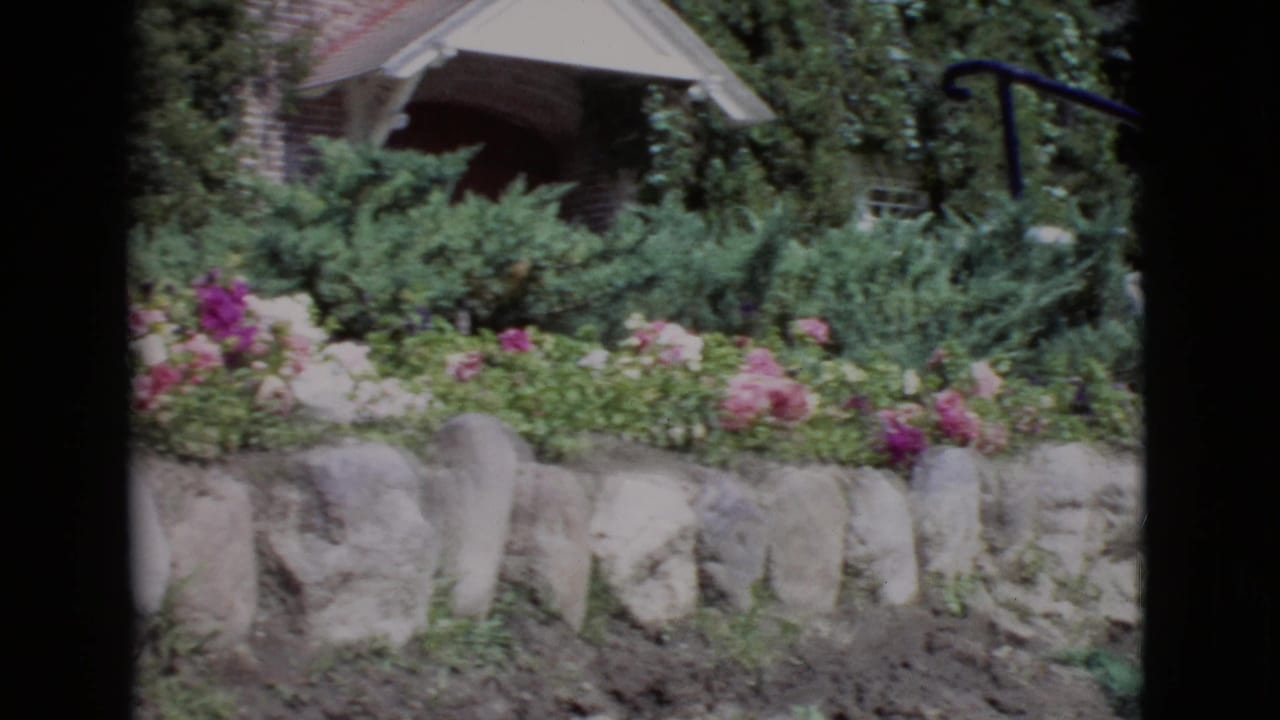 Flower garden with stone edging, shrubs, brick building, and dark vertical film-frame borders.