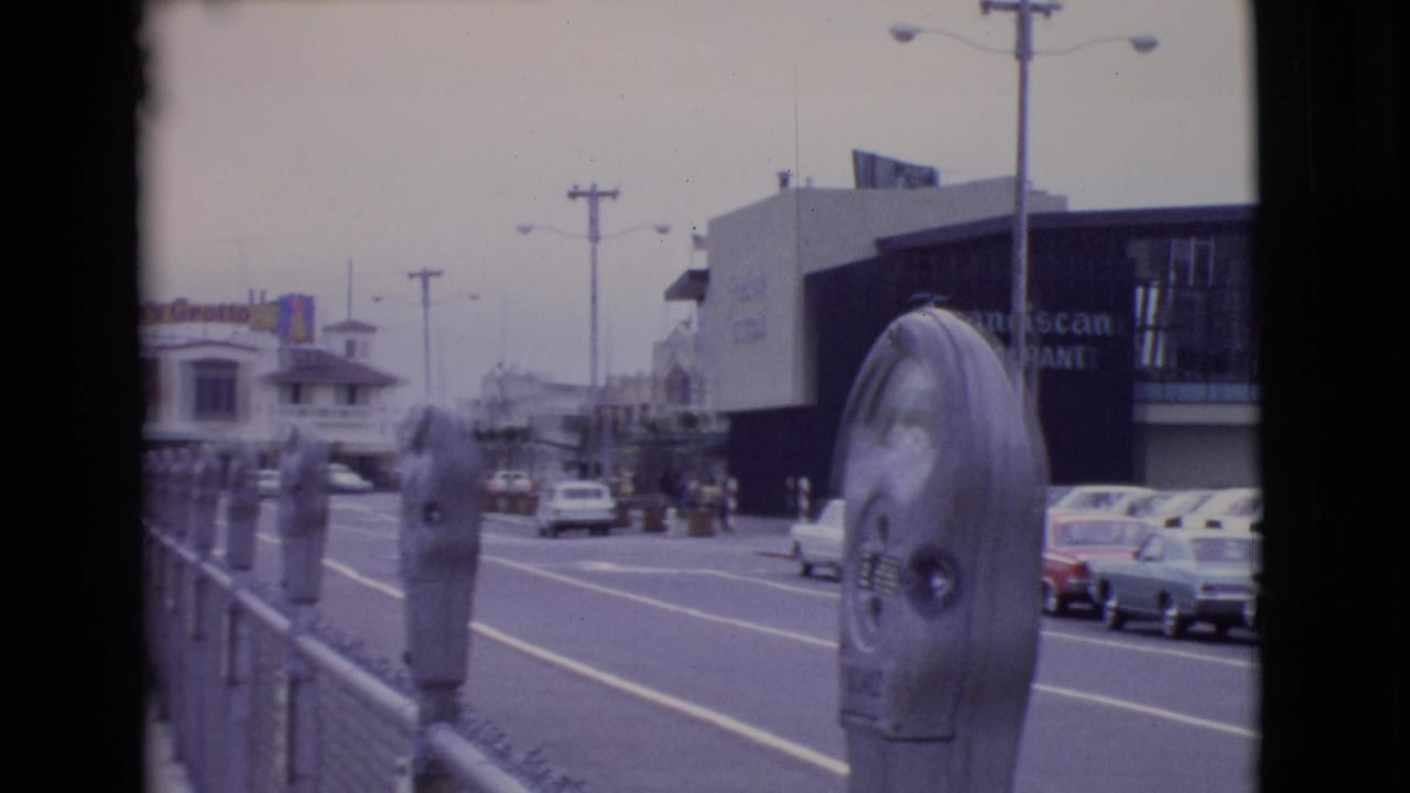 Parking meters beside a street with storefronts and parked cars in the distance.