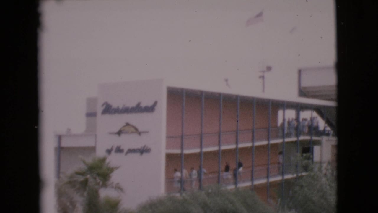 Marineland building sign above penguins standing at the edge of a blue pool.