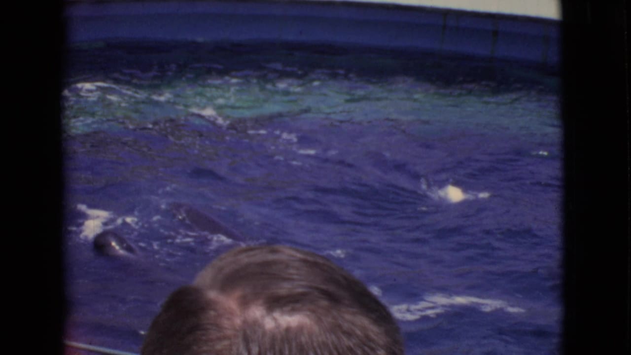 1968 San Diego County frame with rippling water in the foreground, a partial visitor head, U.S. flag, and tower.