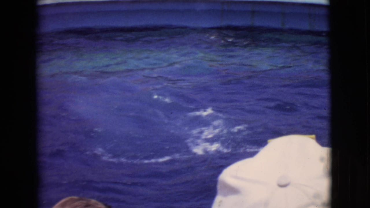 Visitor-shot 1968 aquarium view in San Diego County with rippling tank water, faint dolphin movement, and a white cap in the foreground.