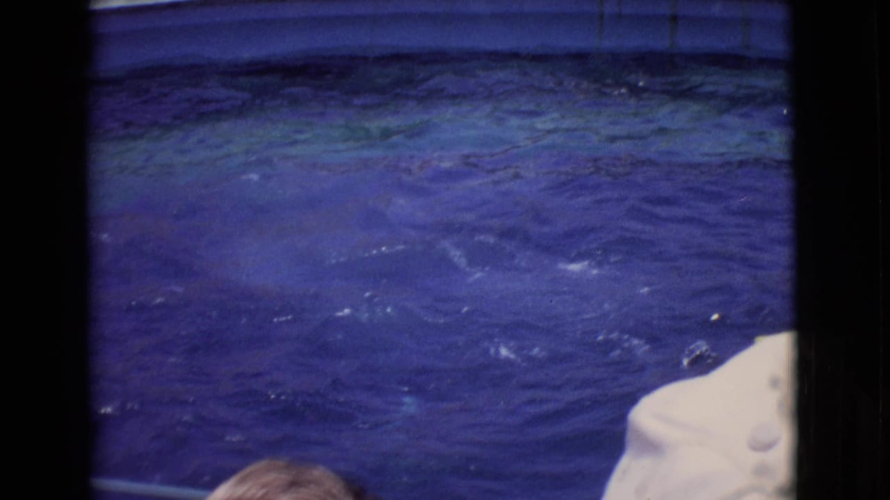 1968 San Diego County aquarium scene with dolphins moving below the blue water surface and visitors partly visible in the foreground.