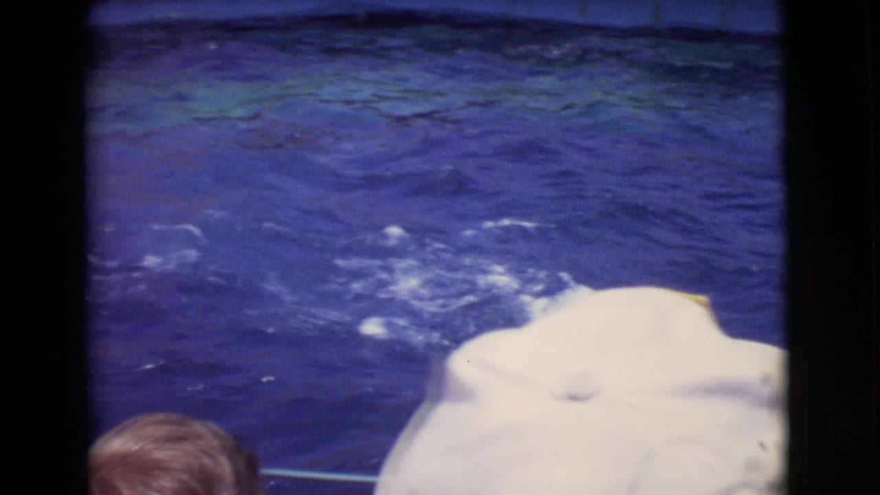 1968 San Diego County marine park footage showing a dolphin near the surface of a blue pool, with spectators and a foreground head partly visible.