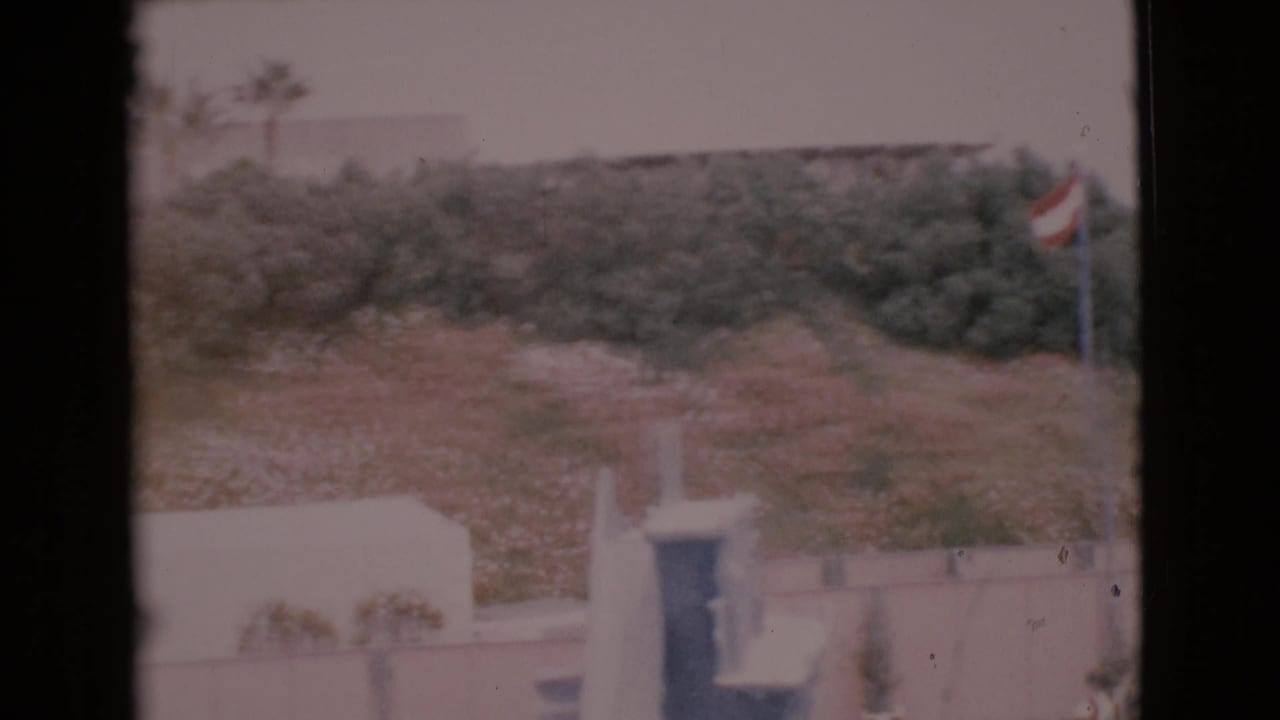 1968 San Diego County home-movie frame with a red and white flag at right, foliage and palm shapes behind, and a pale wall below.
