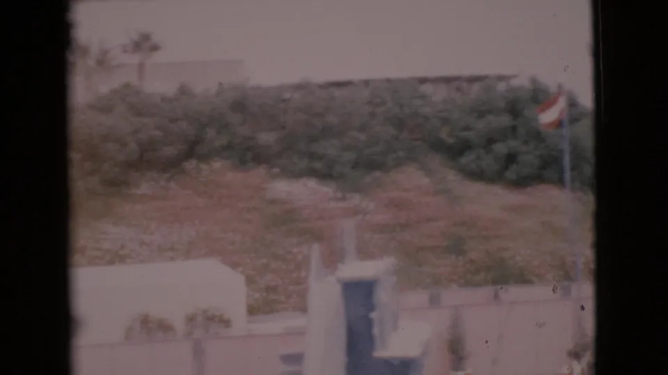 1968 San Diego County home-movie frame with a red and white flag at right, foliage and palm shapes behind, and a pale wall below.