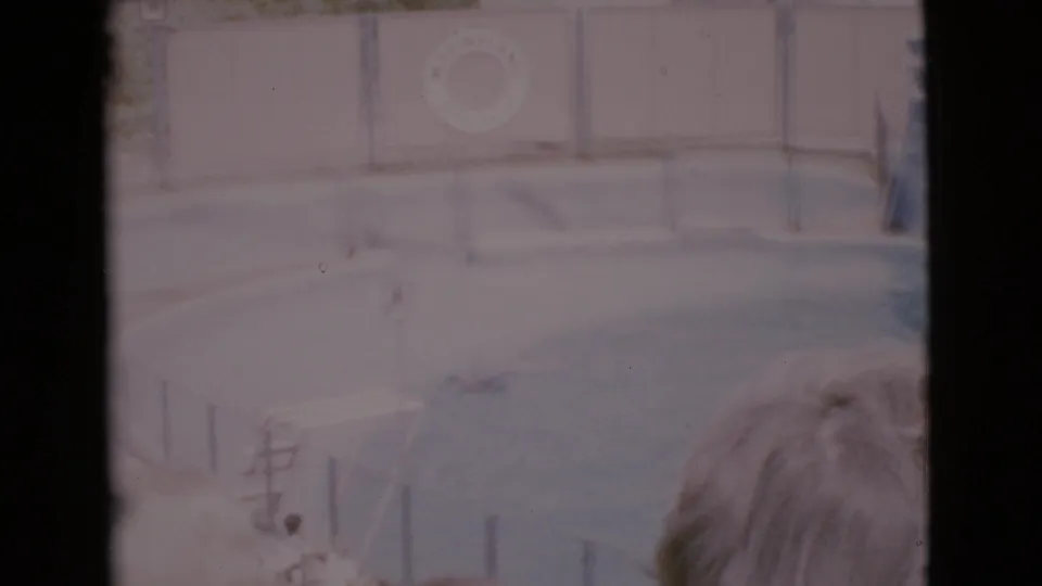 1968 San Diego County home-movie view of a marine show pool, with spectators in the foreground and a Marineland logo on the back wall.