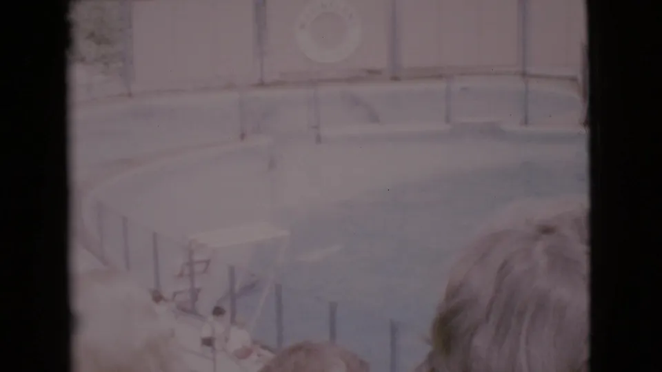 A trainer appears near a striped platform beside the pool during a 1968 Marineland seal show, filmed from the audience area.