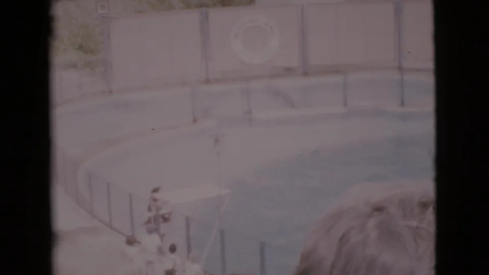 Visitor-shot 1968 footage shows the trainer and performance platform at the Marineland pool, viewed over spectators in the foreground.