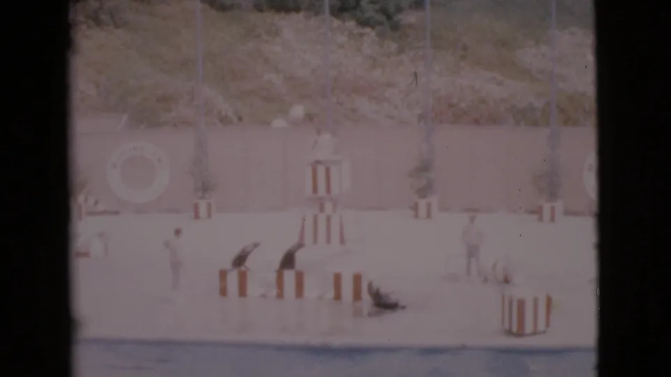 Wide visitor-shot view of the 1968 aquarium stage, with seals near striped platforms while handlers stand by the pool wall.