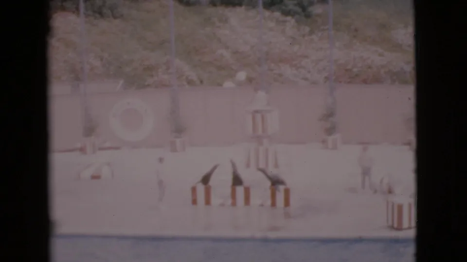 Faded 8mm view of seals grouped on striped platforms while trainers stand across the wet poolside stage in San Diego County.